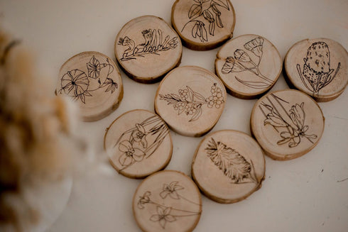 QTOYS - Australian Flora Discs - Set of 10